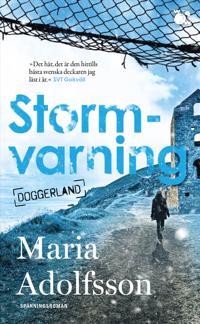 Bokomslag för "Stormvarning"