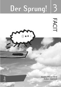 Der Sprung 3 Facit