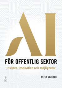 AI för offentlig sektor : Insikter, inspiration och möjligheter