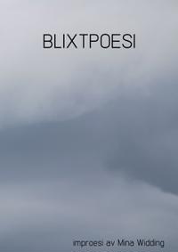Blixtpoesi : ett exempel på innovativ publicering