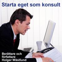 Starta eget som konsult - IT-konsult, PR-konsult, ekonomikonsult, byggkonsult m.m.