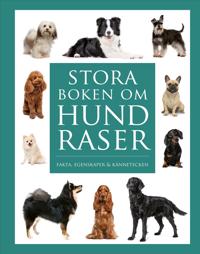 Stora boken om hundraser : Fakta, egenskaper och kännetecken