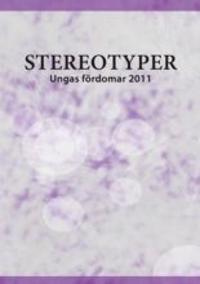 Stereotyper : ungas fördomar 2011