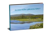 Bilder från Ljøradalføret
