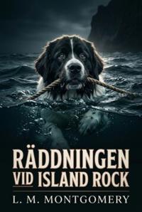 Räddningen vid Island Rock