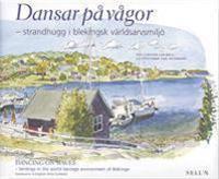 Dansar på vågor : strandhugg i blekingsk världsarvsmiljö = Dancing on waves