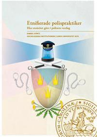 Etnifierade polispraktiker