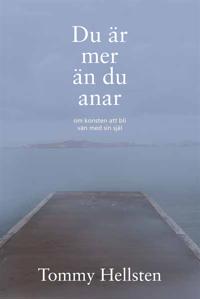 Du är mer än du anar : Om konsten att bli vän med sin själ