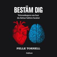 Bestäm dig : vetenskapen om hur du fattar bättre beslut