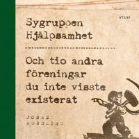 Sygruppen hjälpsamhet : Och tio andra föreningar du inte visste existerat
