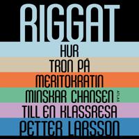 Riggat : Hur tron på meritokratin minskar chansen till en klassresa