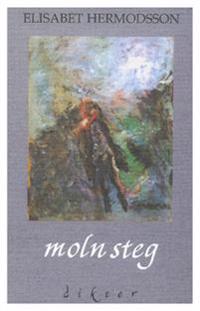 Molnsteg