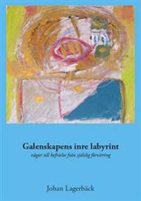 Galenskapens inre labyrint : vägar till befrielse från själslig förvirring