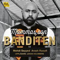 Mammas son banditen : en brutal roman om kriminalitet