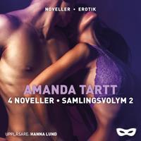 4 noveller. Samlingsvolym 2