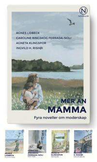 Bokomslag för Mer än mamma - fyra noveller om moderskap