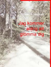 Jag kommer aldrig att glömma dig: Du finns alltid i mitt hjärta