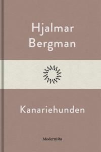 Kanariehunden