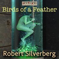 Birds of a Feather
