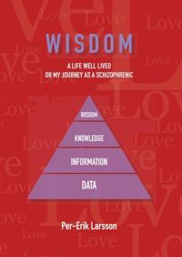 Wisdom : A Life Well Lived Or My Journey As A Schizophrenic