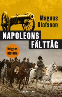 Napoleons fälttåg : Krigens historia