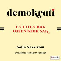 Demokrati. En liten bok om en stor sak
