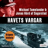 Havets vargar : dramatiska ubåtsepisoder under andra världskriget