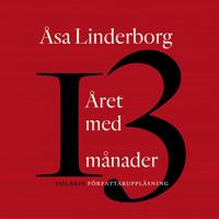Året med 13 månader : en dagbok