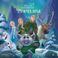 Norrskenets magi. På rätt spår