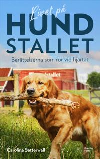Bokomslag för Livet på Hundstallet : Berättelserna som rör vid hjärtat