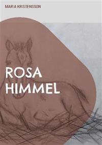 Rosa himmel : en berättelse om en pojkes hjälteinsats