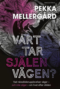Vart tar själen vägen? : Vad näradödenupplevelser säger – och inte säger – om livet efter döden