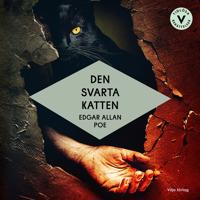Den svarta katten (lättläst)