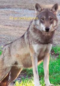 Ut ur verkligheten: Eller verkligheten