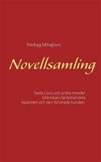 Novellsamling
