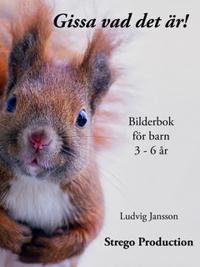 Gissa vad det är! : En bilderbok för dom minsta barnen