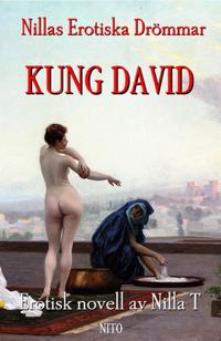 Kung David - Erotik : Nillas Erotiska Drömmar
