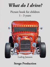 What do I drive? : A picturebook for the smallest children