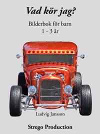 Vad kör jag? : En bilderbok för dom minsta barnen