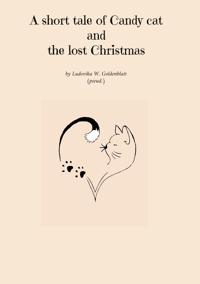 A short tale of Candy cat and the lost Christmas