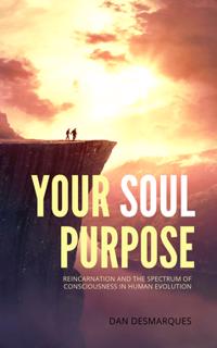 Your Soul Purpose : Reincarnation and the Spectrum of Consciousness in Human Evolution