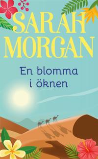 En blomma i öknen