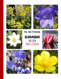 Blommorna vid den röda stugan