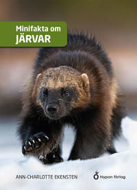 Minifakta om järvar