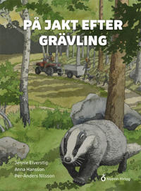 På jakt efter grävling
