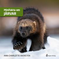 Minifakta om järvar