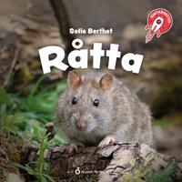 Faktaraketen - Råtta