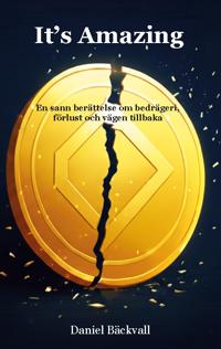 It's Amazing : en sann berättelse om bedrägeri, förlust och vägen tillbaka
