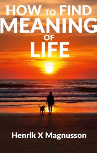 How to Find Meaning of Life: Your guide to life