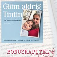 Glöm aldrig Tintin : Bonuskapitel